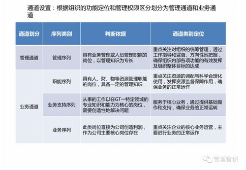 資產(chǎn)管理公司職業(yè)發(fā)展體系解析